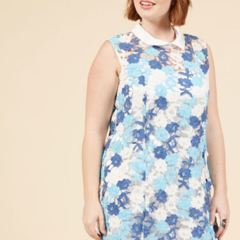 Unrivaled Arrival Shift Dress Never Worn 1X